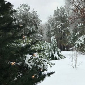 Meet your Posher, Molly